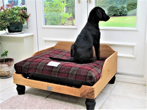 custom dog beds for sale.